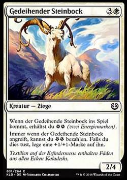 Gedeihender Steinbock (Thriving Ibex)
